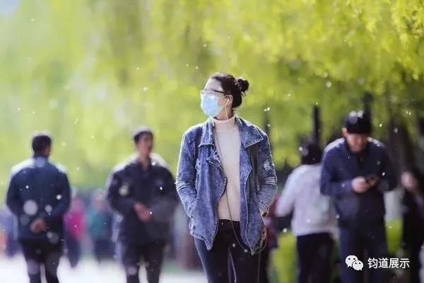 户外报栏，铝合金报栏，